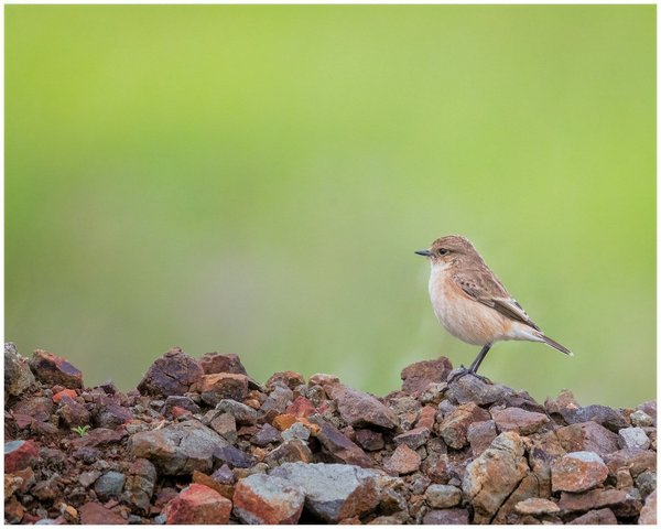 ¿Cómo ajustar tu postura para mejorar tu swing en golf?