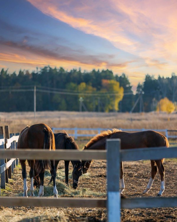 ¿Qué oportunidades ofrece la realidad aumentada para la educación?